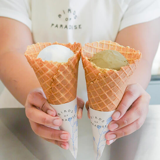 Birds of Paradise Icecream Shop at Katong Joo Chiat